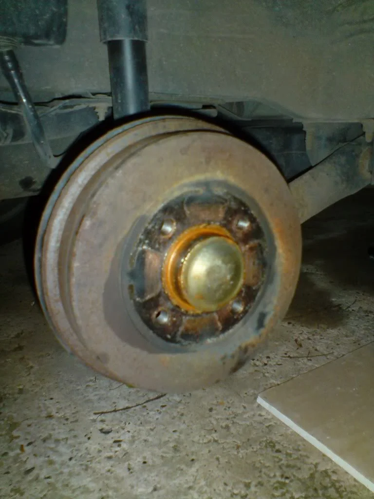 DSC01173.webp