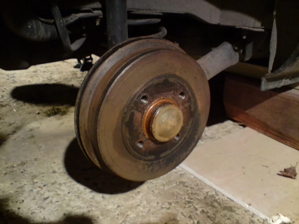 DSC01175.webp