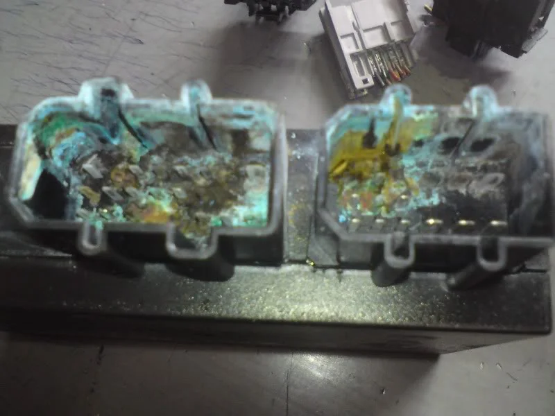 DSC01177.webp