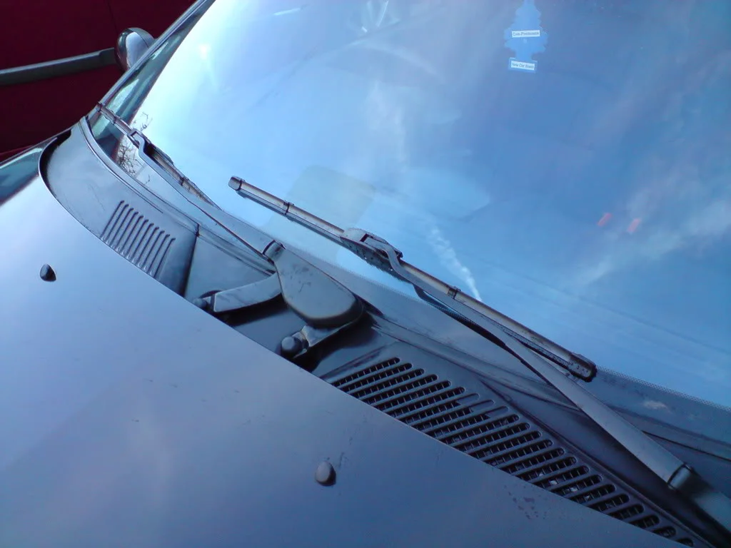 DSC01195.webp