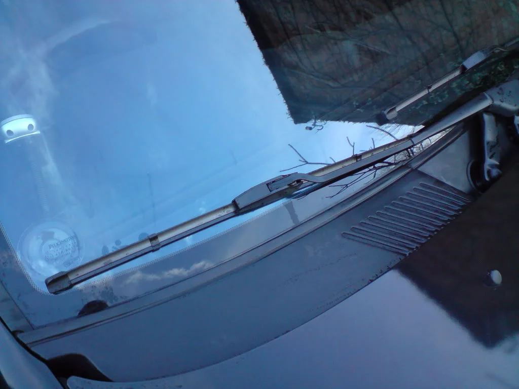 DSC01196.webp