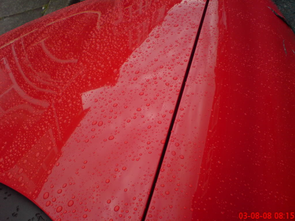 DSC01213.jpg