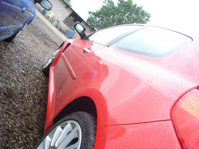 DSC01231.webp