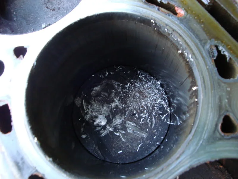DSC01242-1.webp