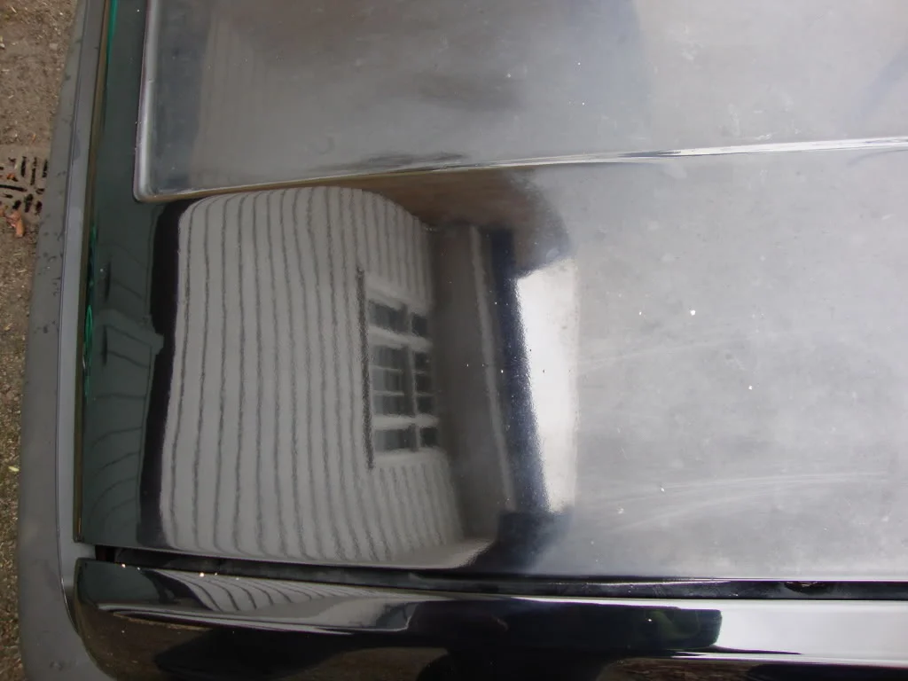DSC01247.webp