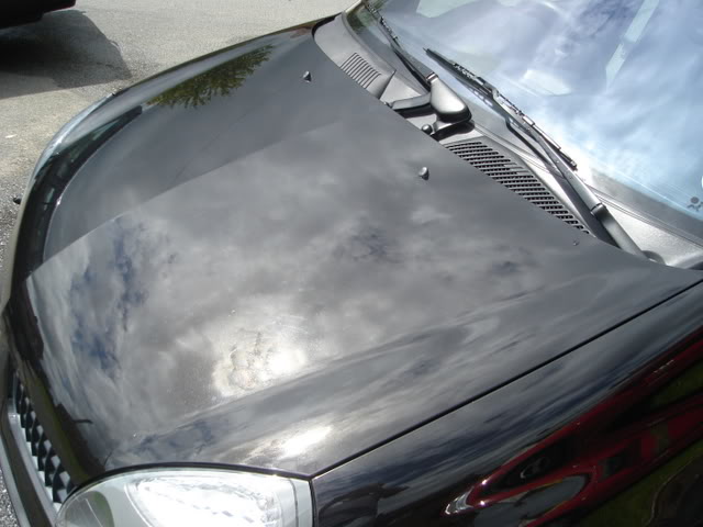 DSC01250.jpg DSC01250.jpg