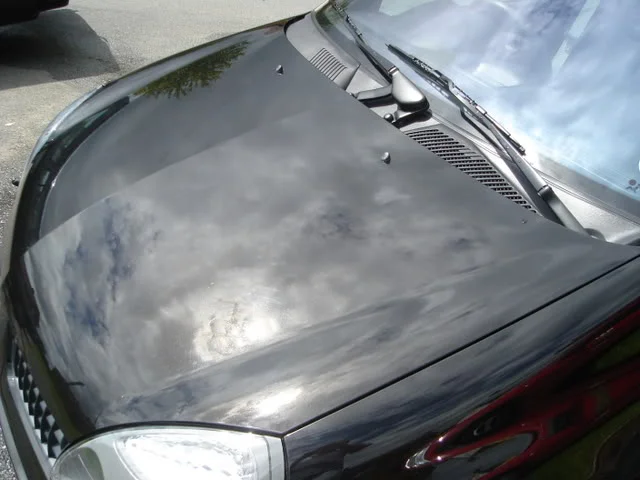 DSC01250.webp