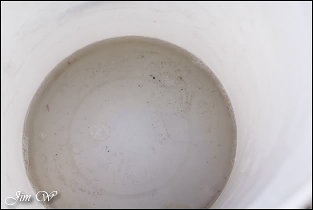 DSC01281wd.jpg DSC01281wd.jpg