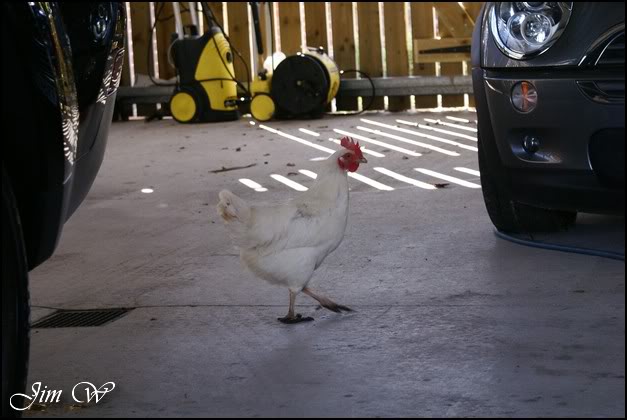 DSC01282wd.jpg DSC01282wd.jpg