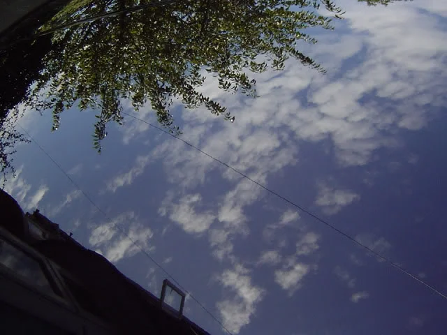 DSC01284640x480.webp