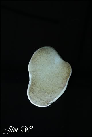 DSC01290wd.jpg DSC01290wd.jpg