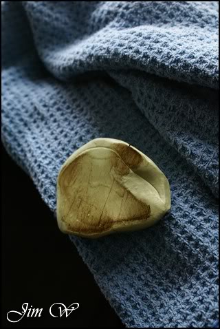 DSC01291wd.jpg DSC01291wd.jpg