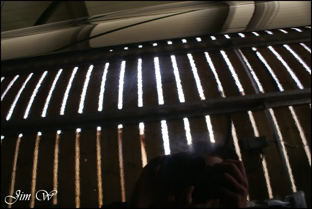 DSC01303wd.jpg DSC01303wd.jpg