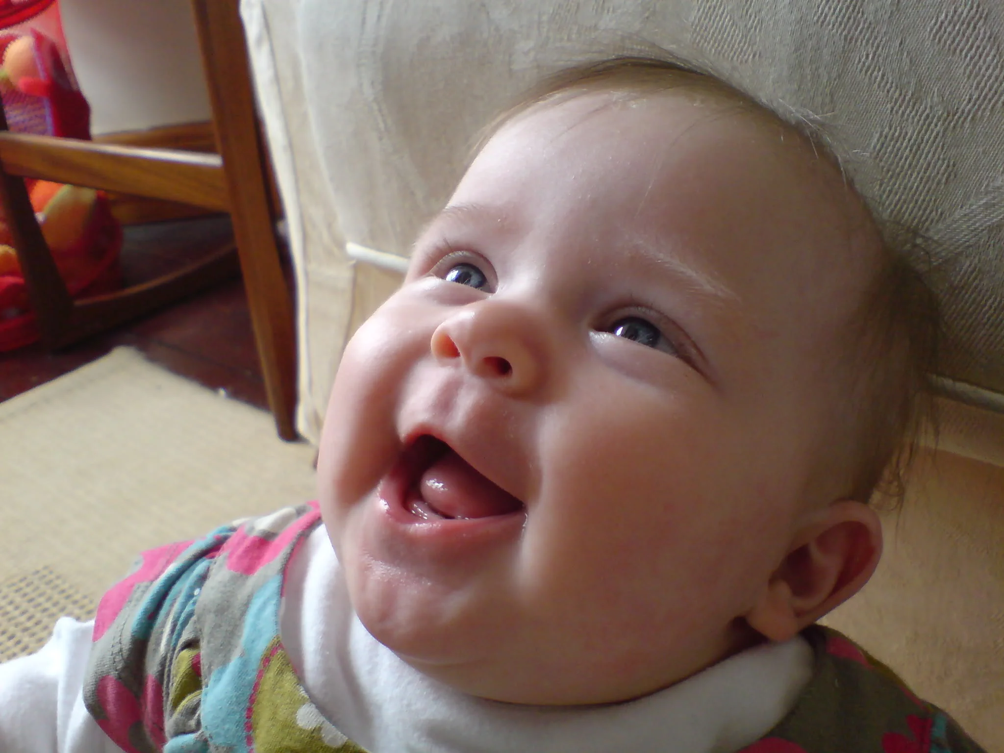 DSC01326.webp