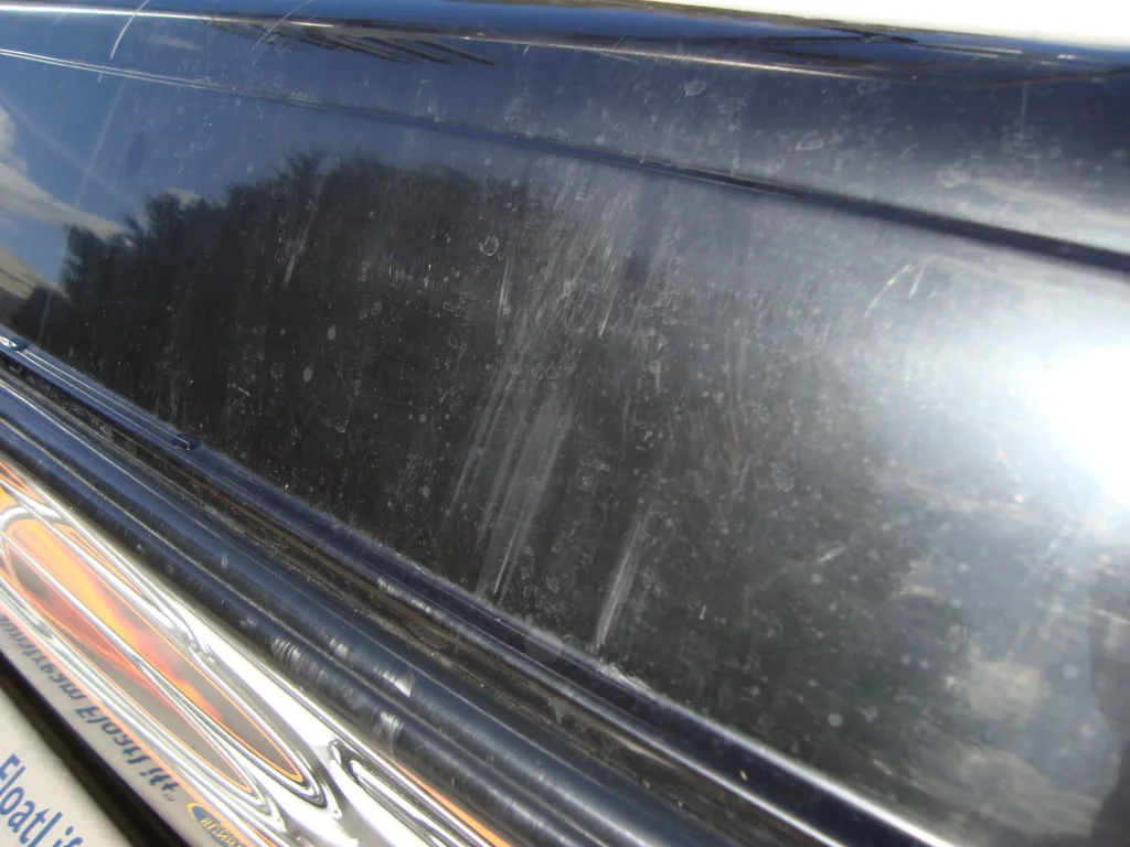DSC01329.webp