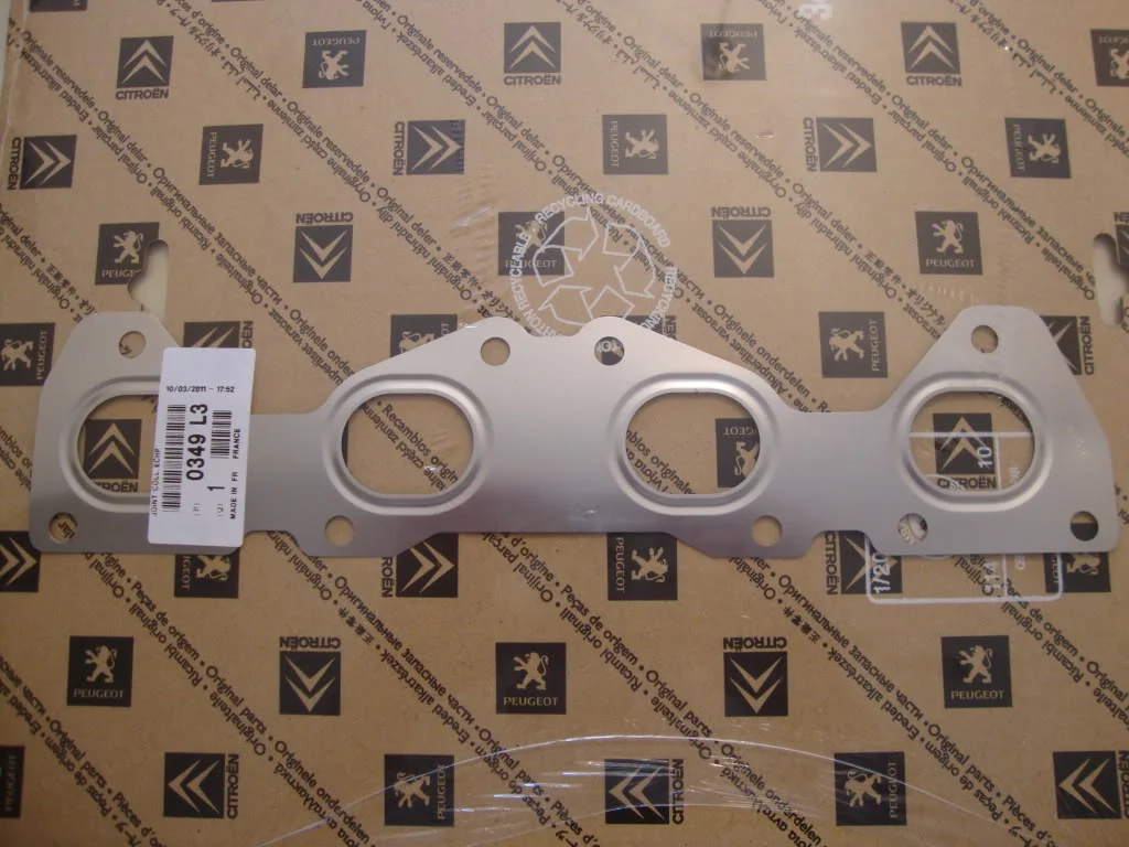DSC01329.webp