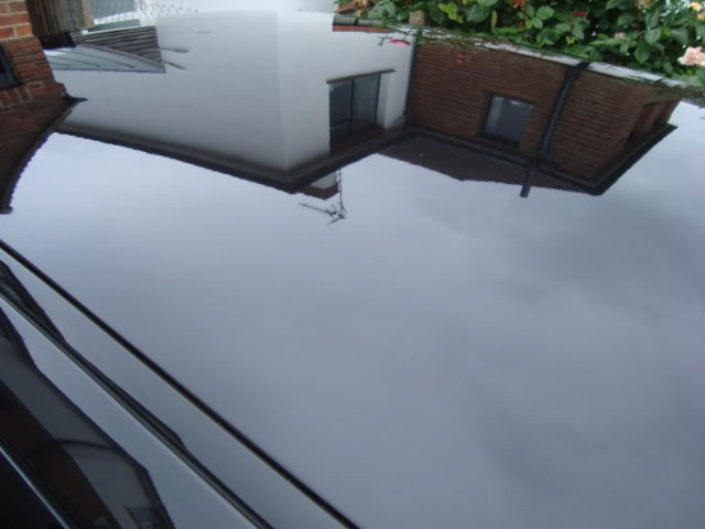 DSC01340.jpg