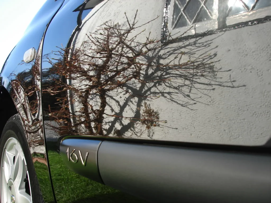 DSC01343.webp