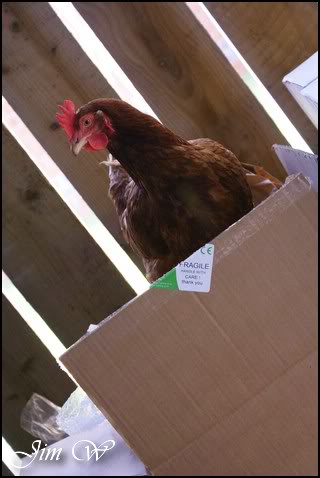 DSC01348wd.jpg DSC01348wd.jpg