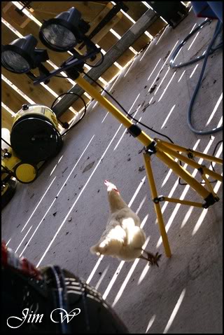 DSC01349wd.jpg DSC01349wd.jpg