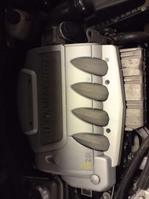 DSC01352.webp