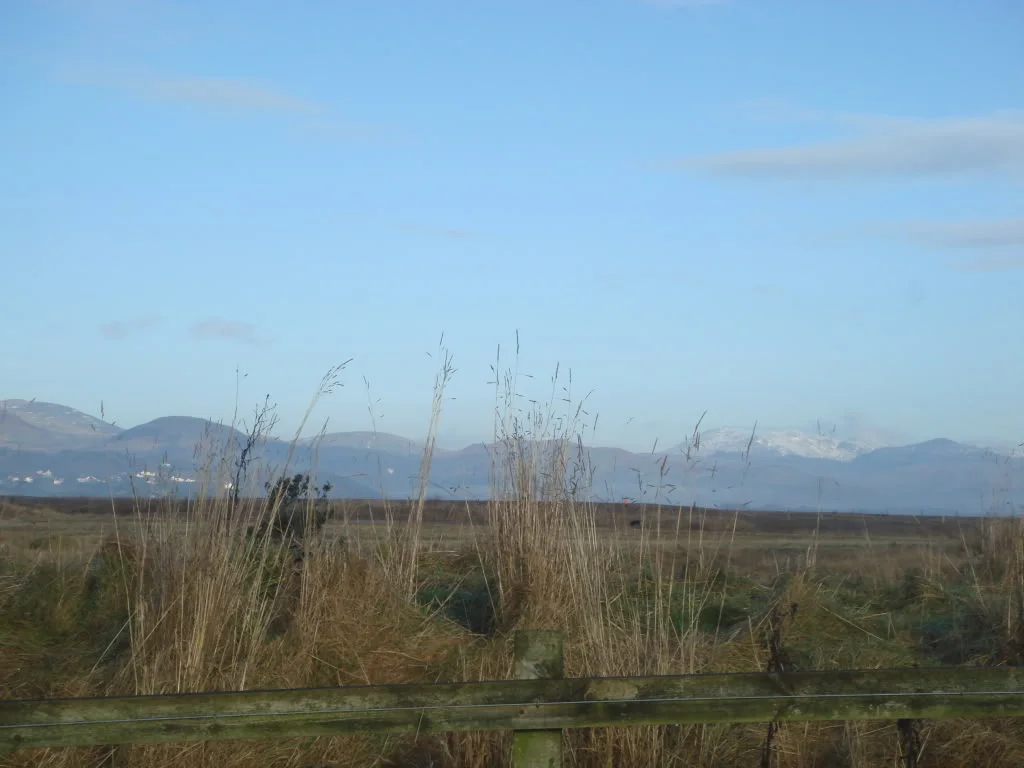 DSC01363.webp