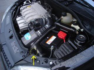 DSC01375-1.jpg