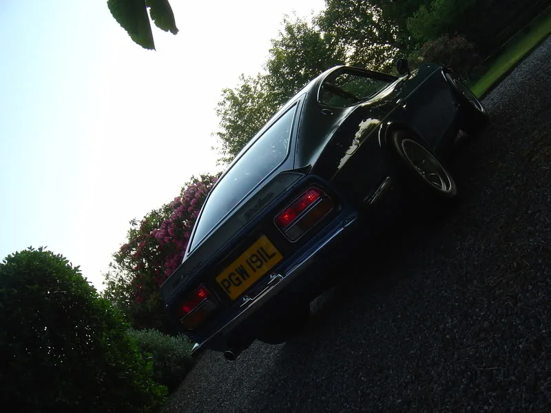 DSC01377.webp