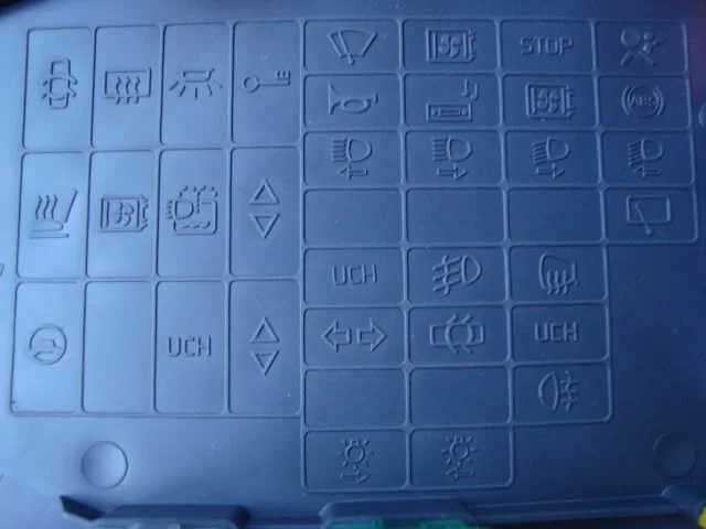 DSC01385.webp