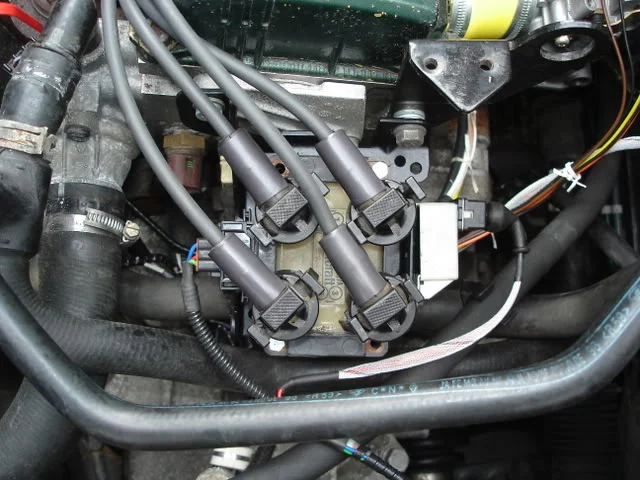 DSC01386.webp