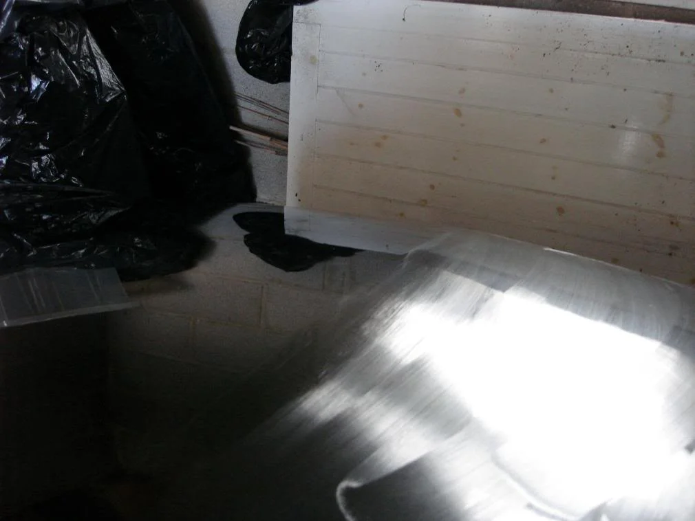 DSC01389.webp