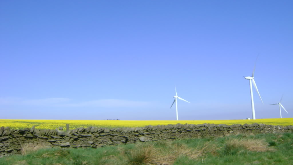 DSC01391-1.jpg