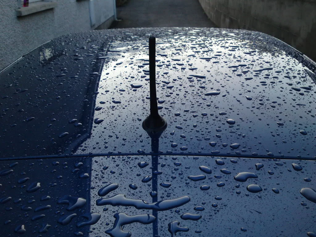 DSC01404.webp