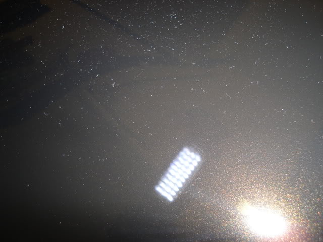 DSC01432.jpg DSC01432.jpg