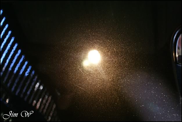 DSC01467wd.jpg DSC01467wd.jpg