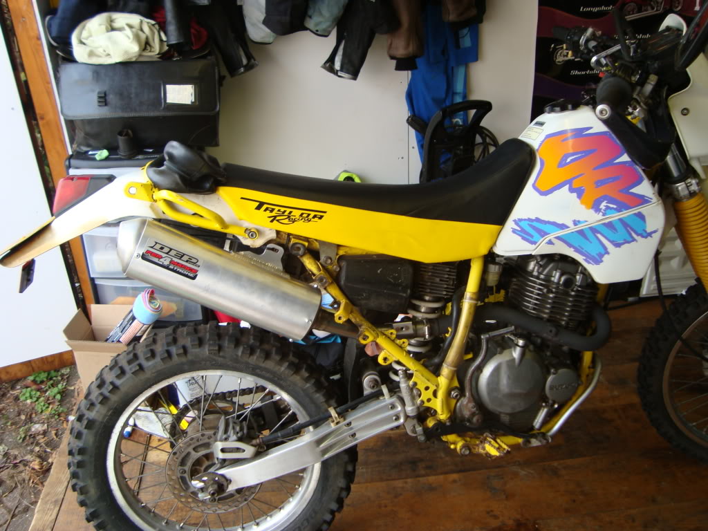 DSC01484.jpg DSC01484.jpg