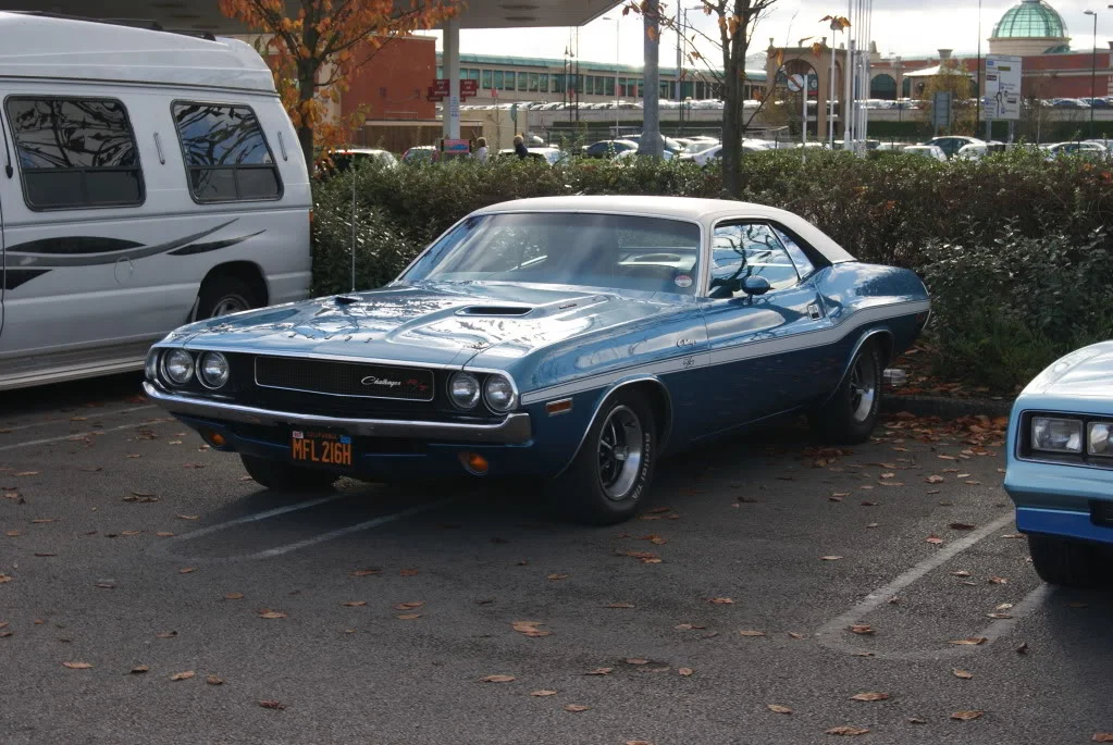 DSC01495.webp