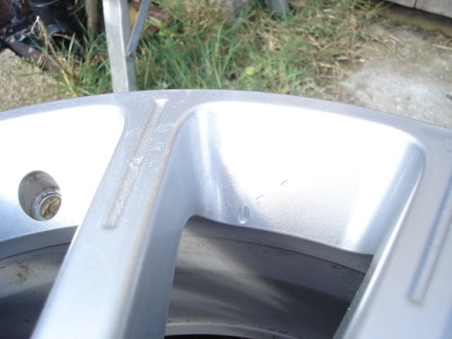 DSC01501.jpg DSC01501.jpg