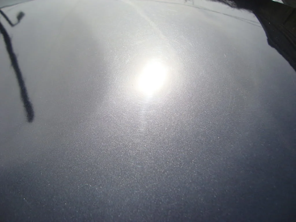DSC01509.webp