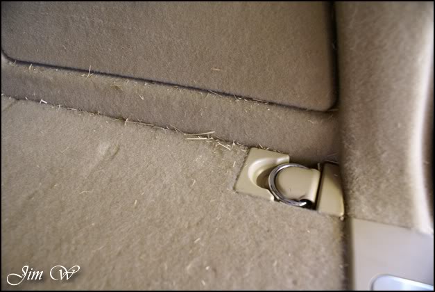 DSC01515wd.jpg DSC01515wd.jpg