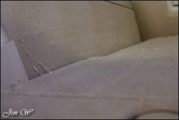 DSC01517wd.jpg DSC01517wd.jpg