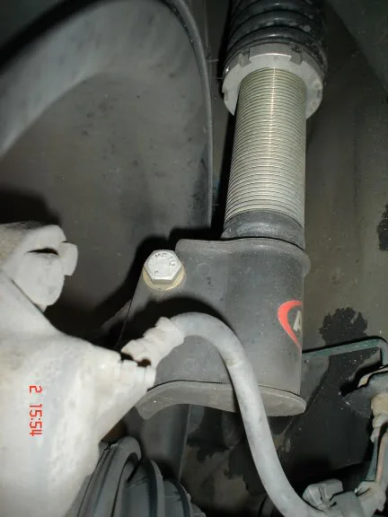 DSC01521.webp