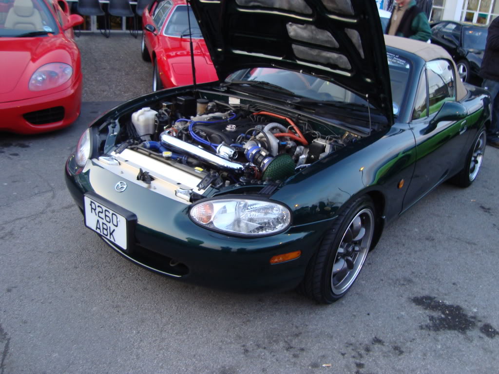 DSC01534.jpg