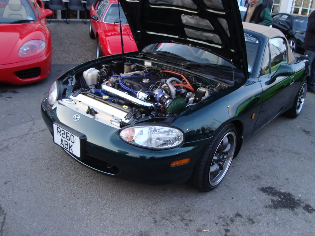 DSC01534.webp