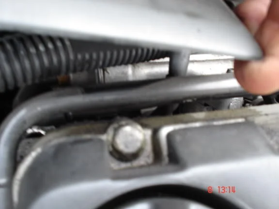 DSC01537.webp