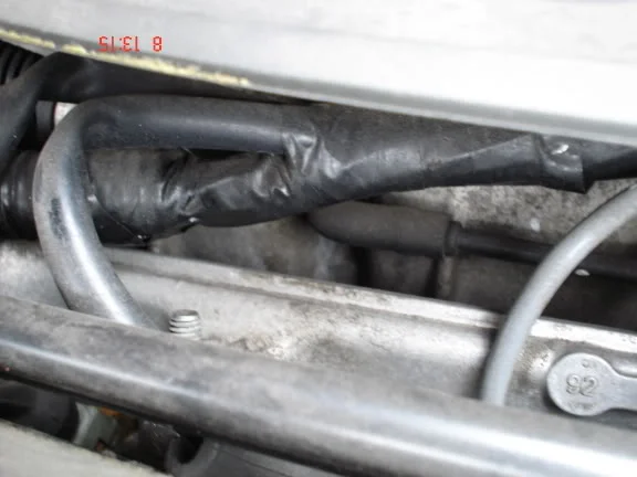 DSC01538.webp
