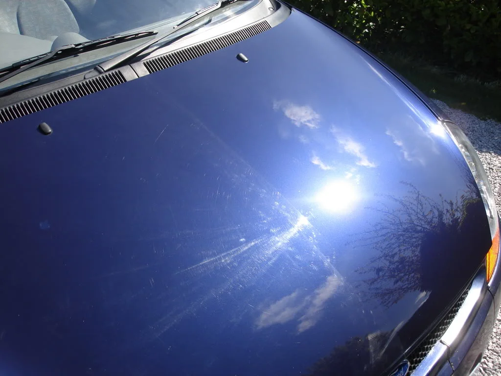 DSC01551.webp