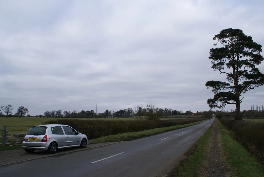 DSC01554.webp