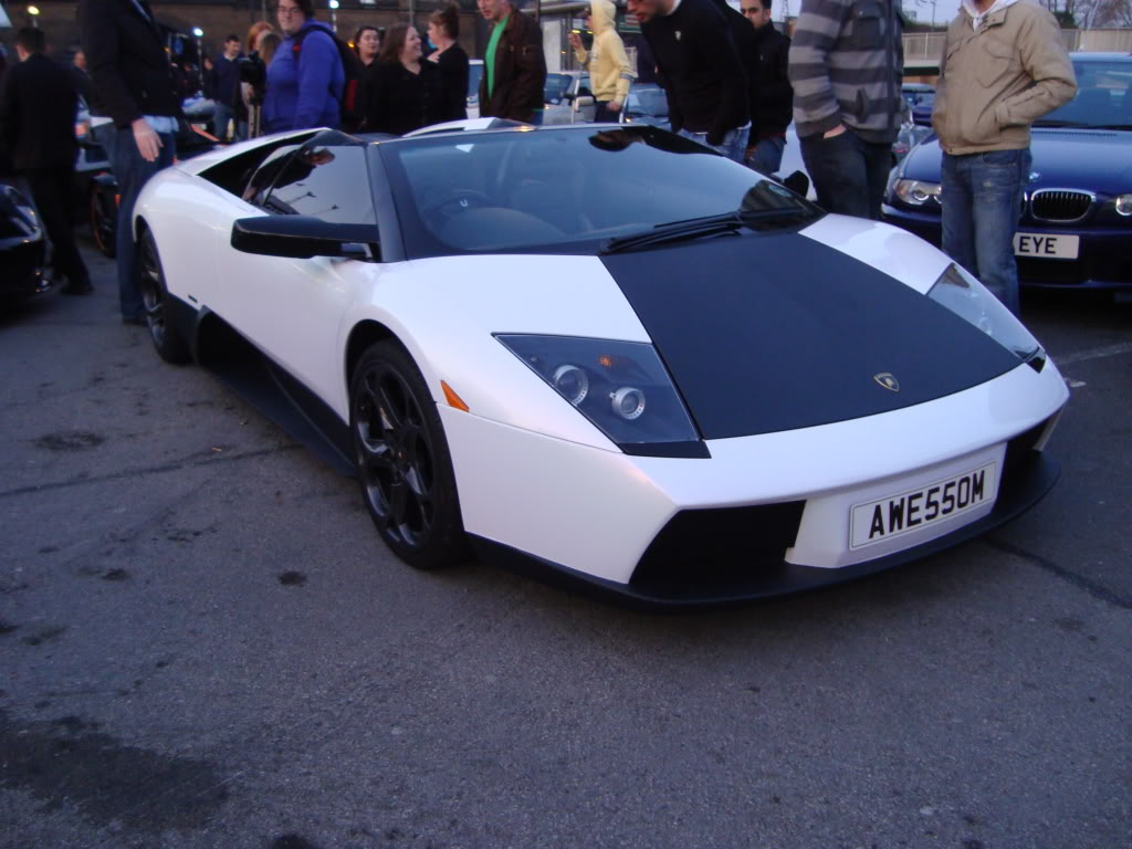 DSC01562.jpg