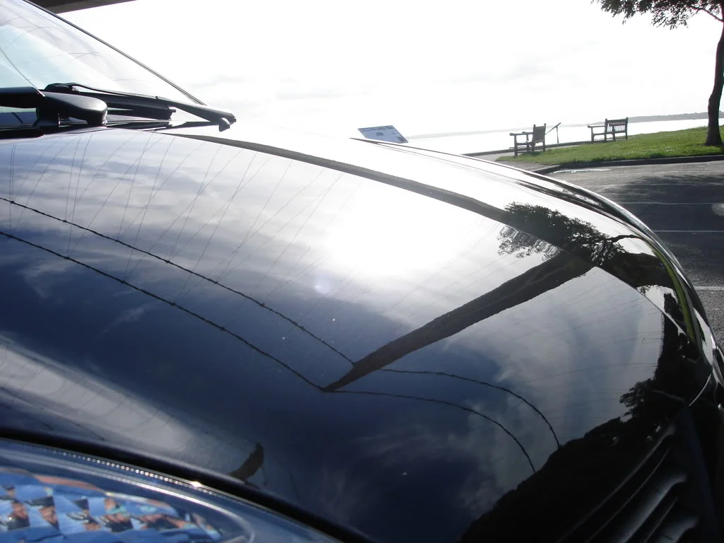 DSC01590.webp